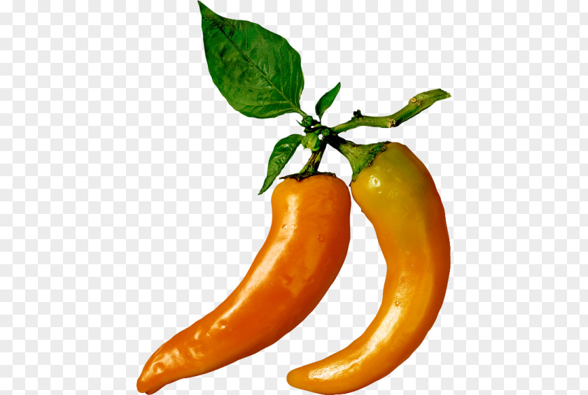 Vegetable Serrano Pepper Chili Cayenne Paprika Vegetarian Cuisine PNG
