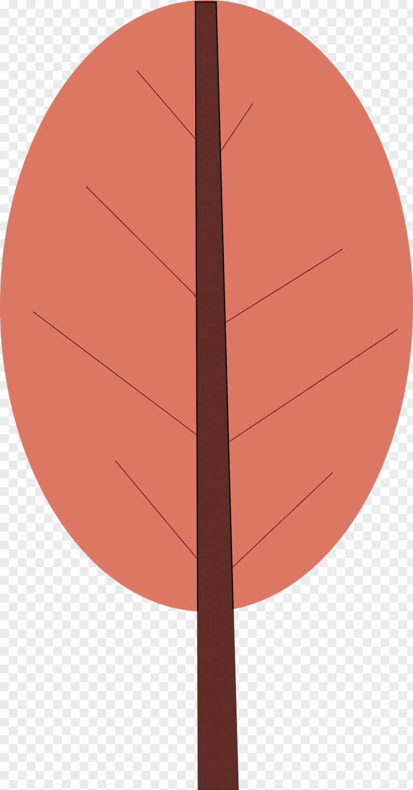 Angle Leaf Line Meter Mathematics PNG