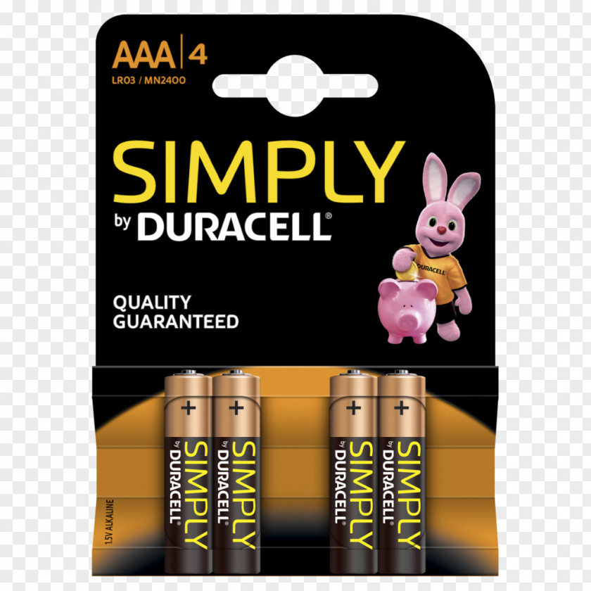Battery AAA Duracell Alkaline Charger PNG