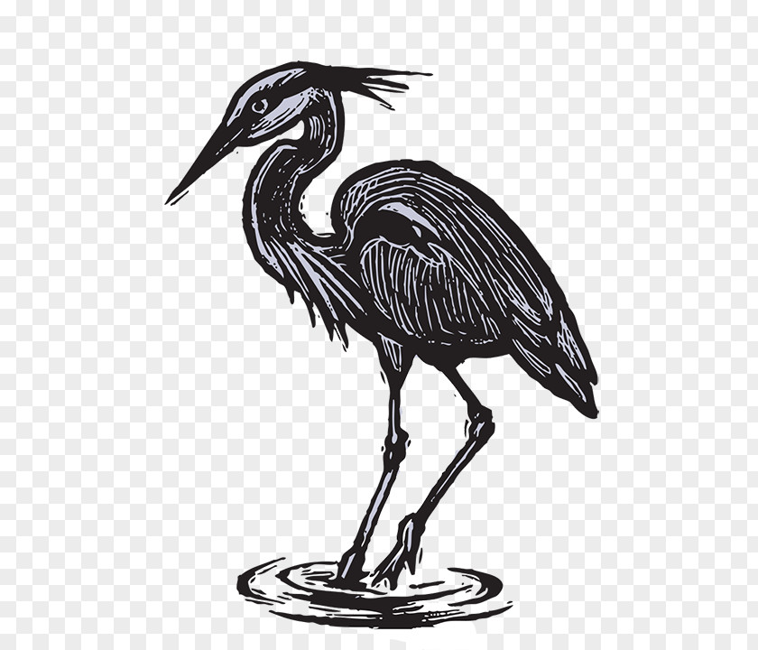Bill Russell Crane Heron Bird PNG