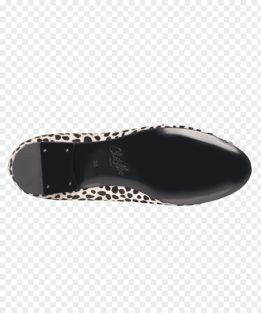 Design Cross-training Shoe Walking PNG