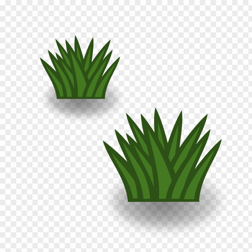 Grasslands Cliparts Temperate Grasslands, Savannas, And Shrublands Clip Art PNG