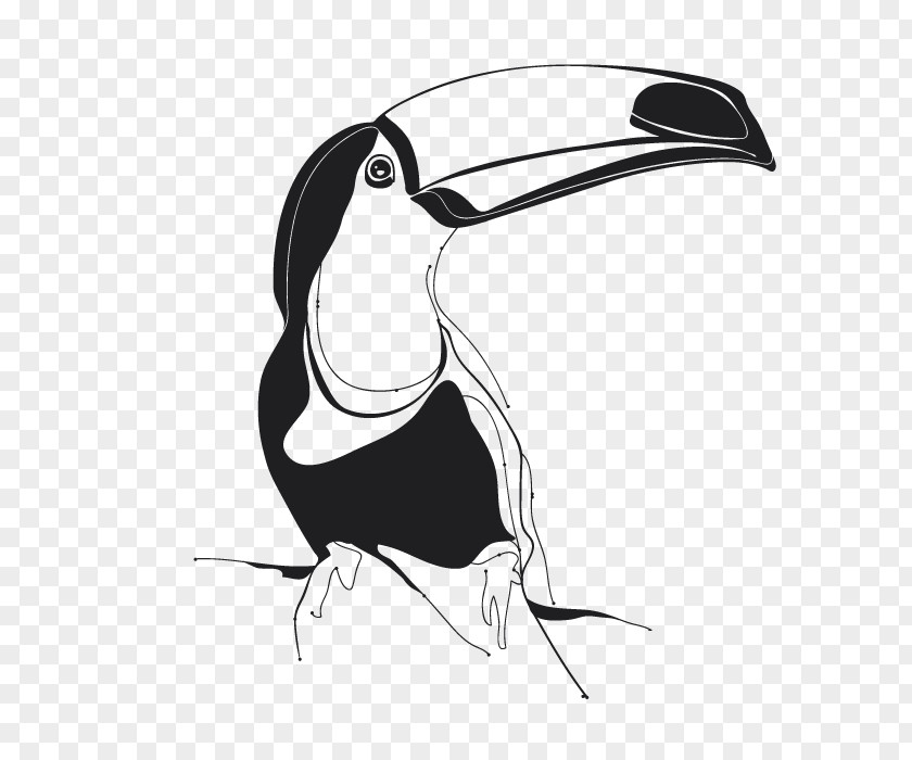 Penguin Design Clip Art Beak Toucan PNG