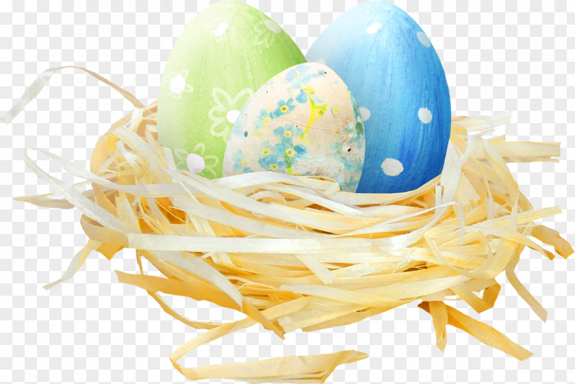 Bird Easter Egg Chicken PNG