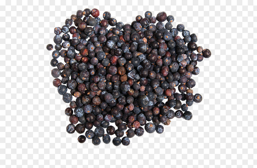 Blueberry Bilberry Huckleberry Juniper Berry PNG
