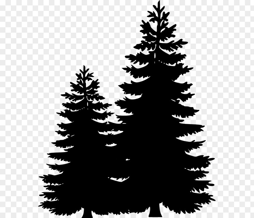 Clip Art Pine Tree Image PNG