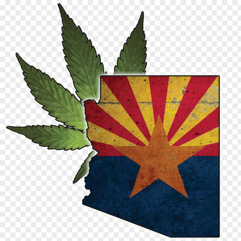 Flag State Arizona Department Of Education Child Safety PNG