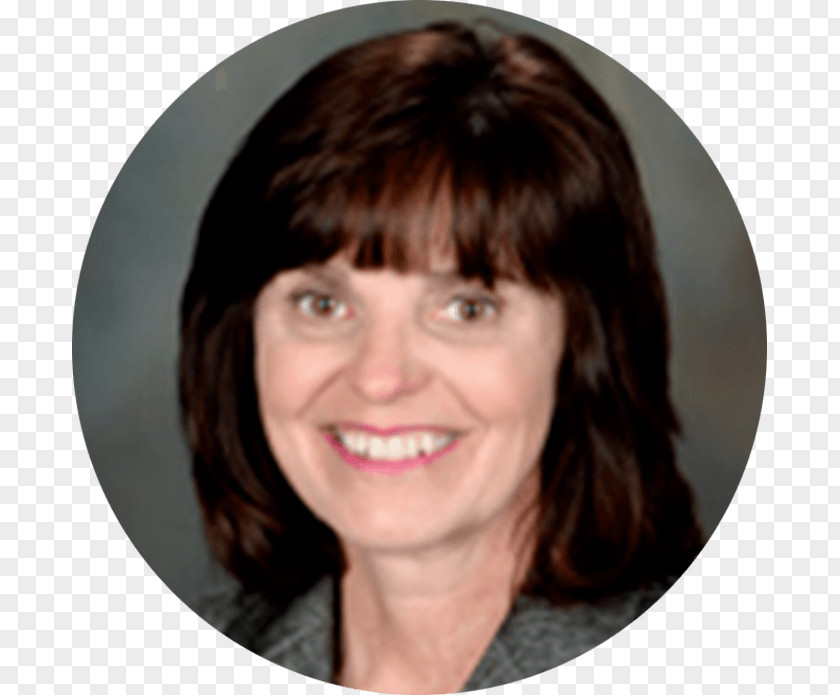 Illinois Republican Party Sue Scherer Springfield Gubernatorial Election, 2018 House Of Representatives PNG