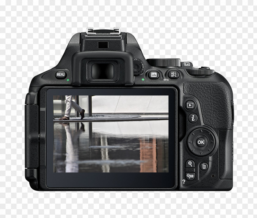 Camera Body AF-S DX Nikkor 18-140mm F/3.5-5.6G ED VR Nikon D5600 Format 35mm F/1.8G Zoom-Nikkor 18-55mm PNG