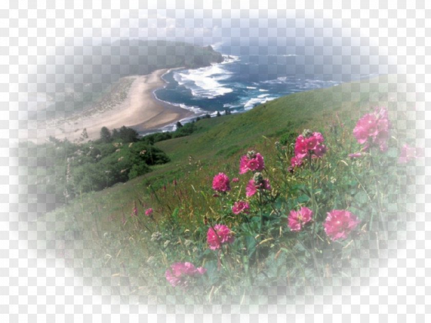 Cascade Head Oregon Coast Desktop Wallpaper PNG