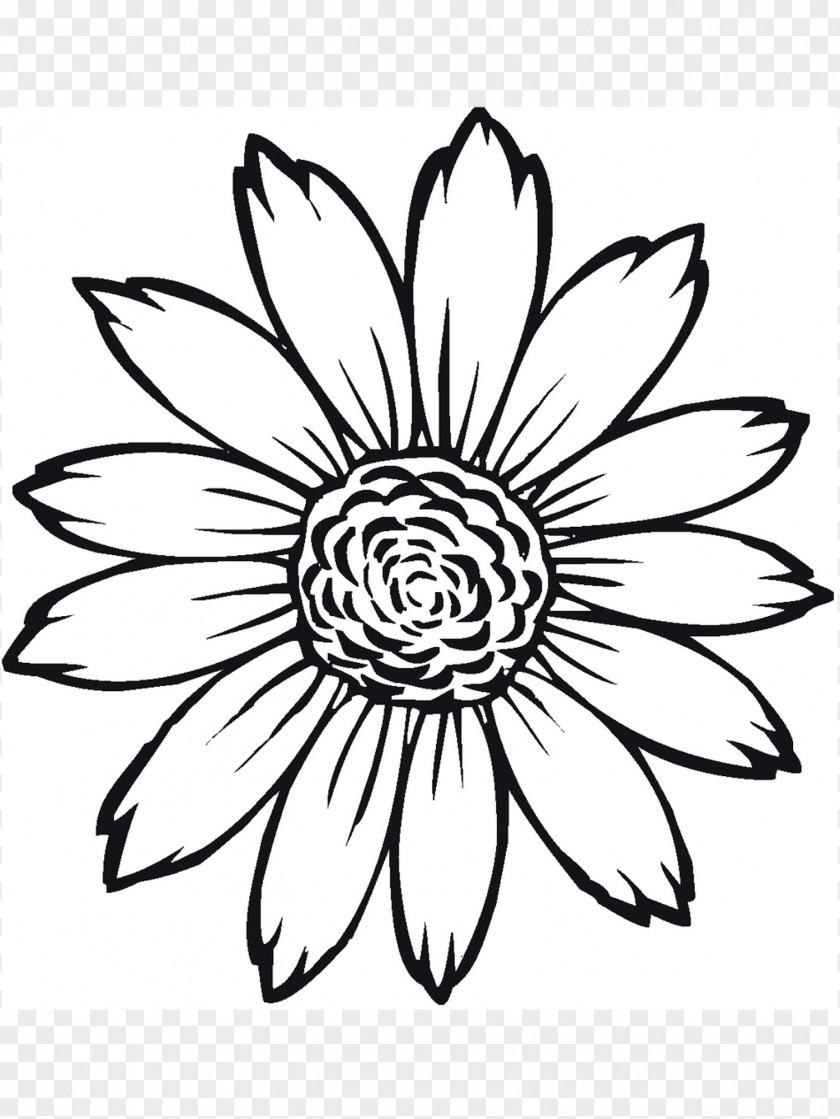 Drawing Of Sunflower Coloring Book Common Image Light PNG