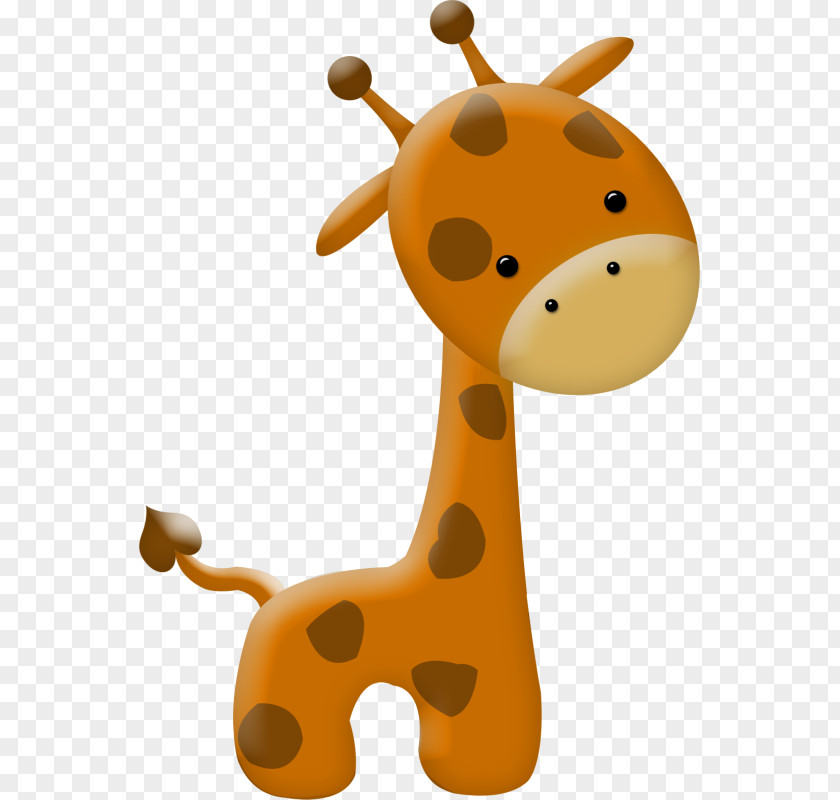 Giraffe Northern Drawing Image Clip Art PNG