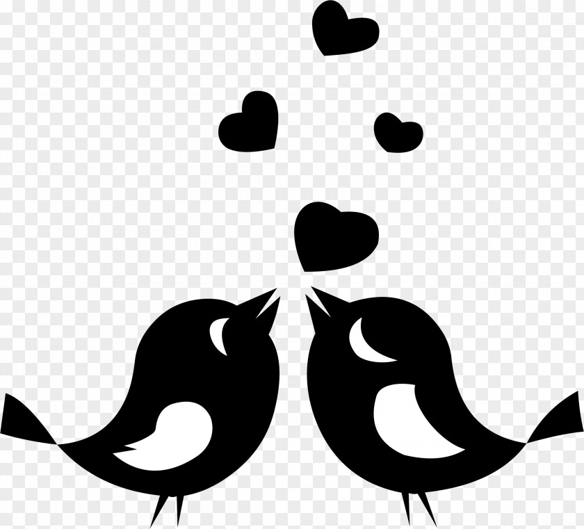 Love Birds Lovebird Clip Art PNG
