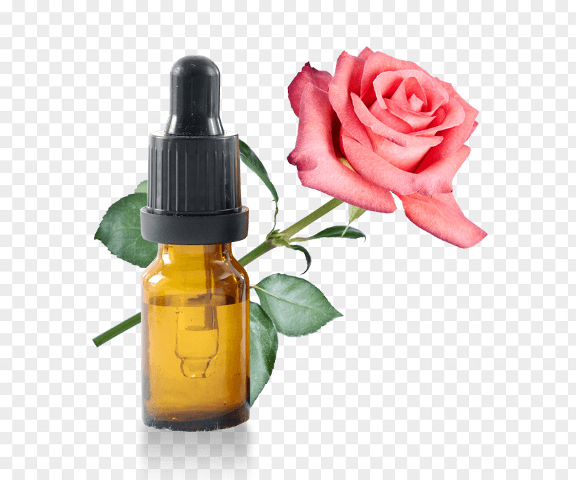 Oil Lotion Cosmetics Herbal Distillate Rose Water Garden Roses PNG