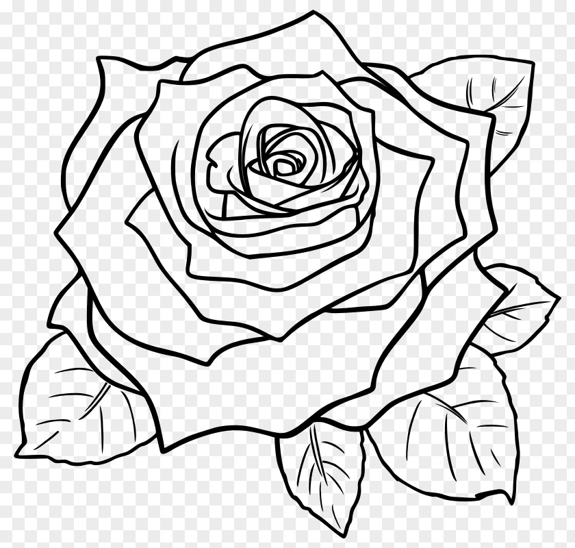 Rose Clip Art Drawing Line Pencil Sketch PNG
