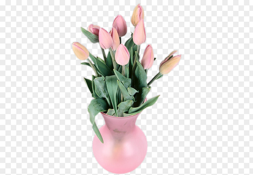 Vase Tulip Decorative Arts PNG