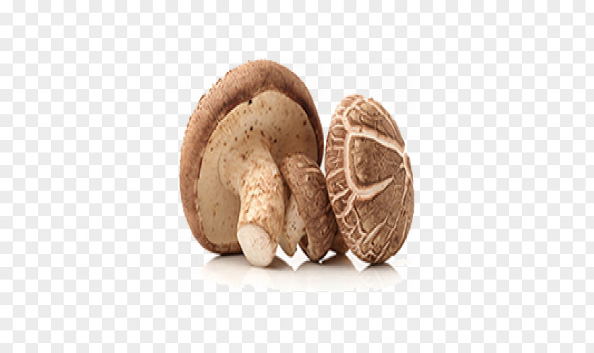 Vegetable Common Mushroom Shiitake Soup PNG