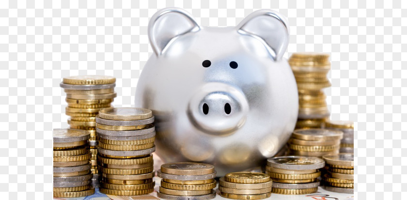 Piggy Bank Money Pension Interest Tax PNG