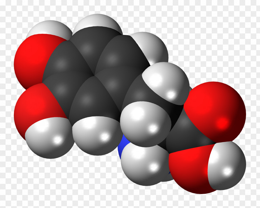 Space Review Levodopa Wikimedia Commons Dietary Supplement Foundation Isomer PNG
