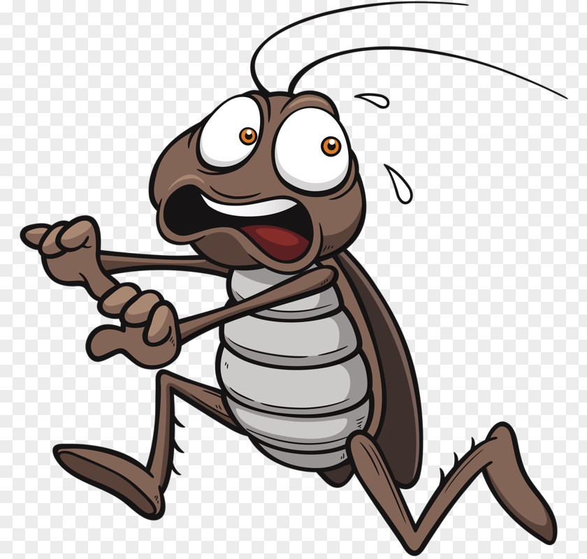 Timid Cockroaches Cockroach Royalty-free Cartoon Clip Art PNG