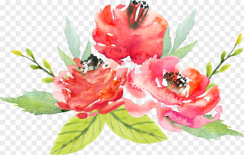Watercolor Flowers Floral Design Flower Painting PNG