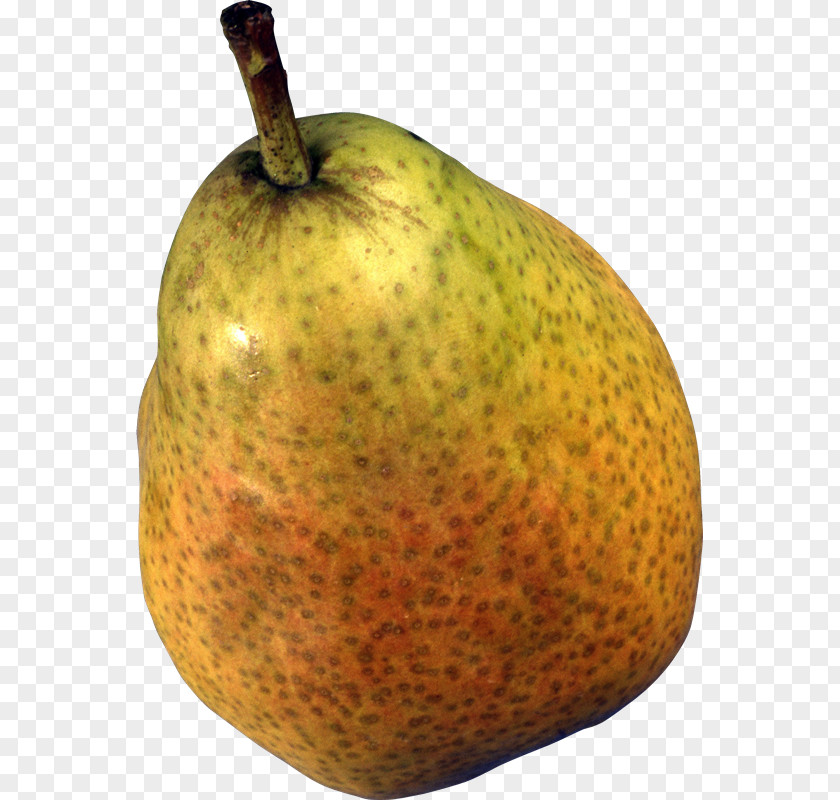 Apo Pear PNG