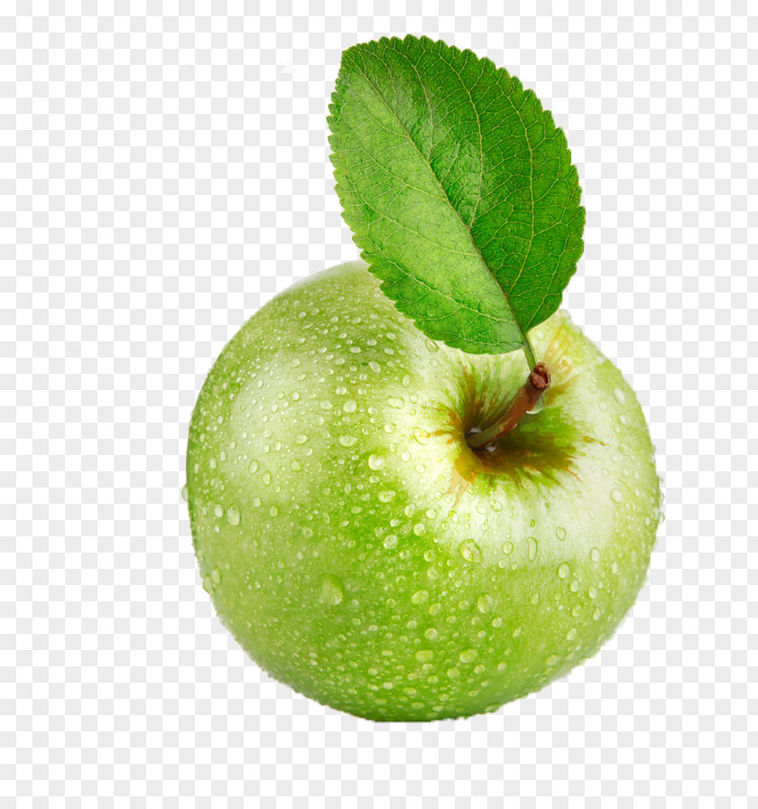 Apple Stock Photography Image Vector Graphics PNG