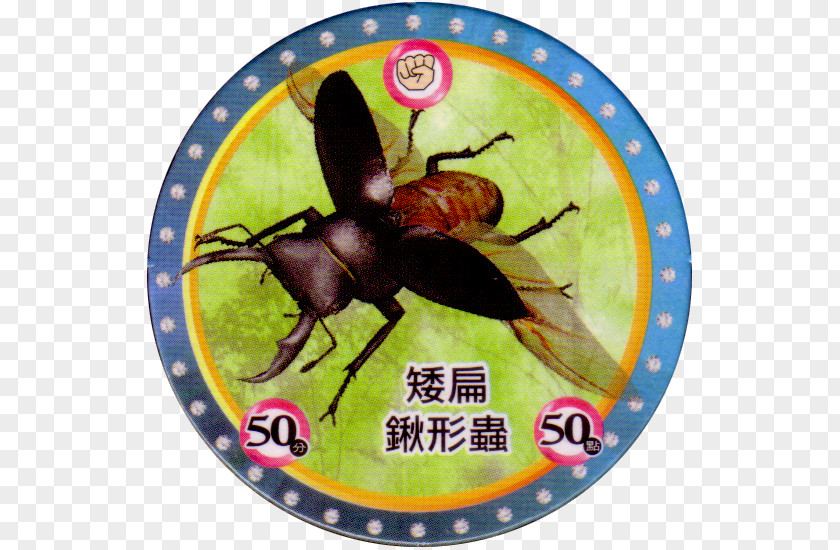 Beetle Mushiking: The King Of Beetles Stag Milk Caps Dorcus Titanus PNG