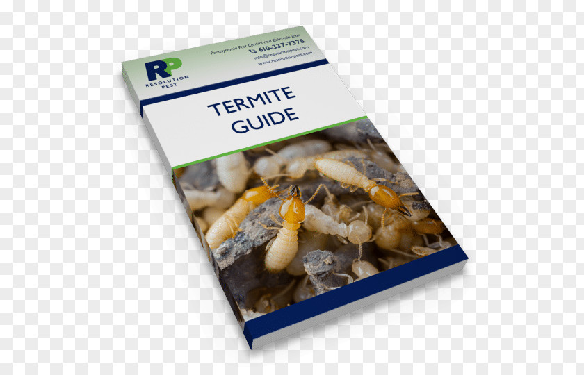 Destroying Termite Pest Swarming Recipe How-to PNG