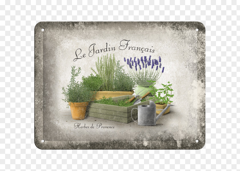 France French Formal Garden Vintage Post Cards PNG