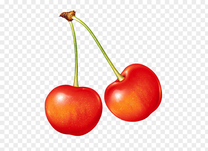 Hand-painted Cherry Juice Fruit Vegetable Berry PNG