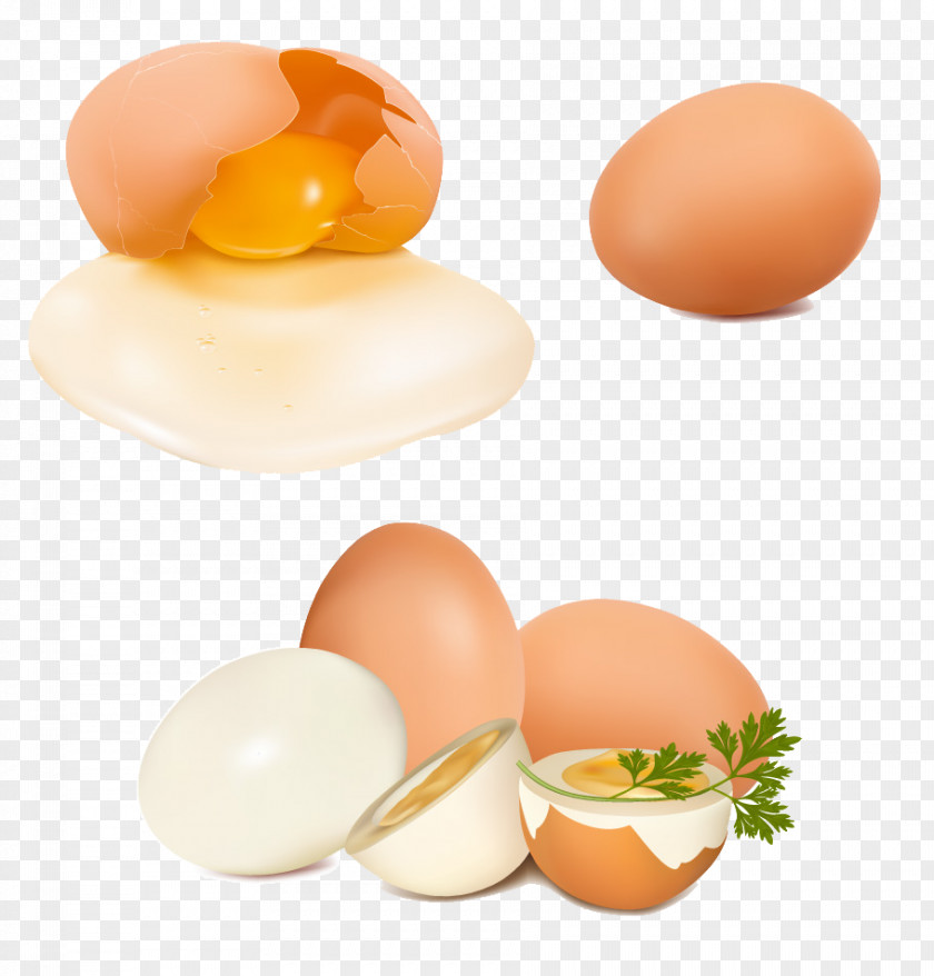 Open Egg Chicken Vegetable PNG