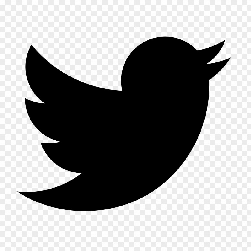 Twitter Bird PUBLIC Social Media PNG