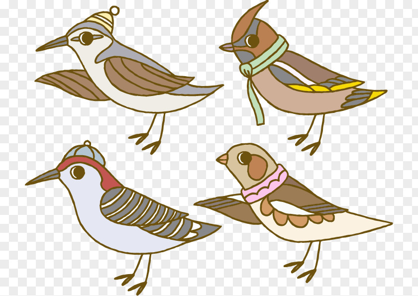 Vector Cartoon Winter Animal Bird Sparrow Euclidean Clip Art PNG