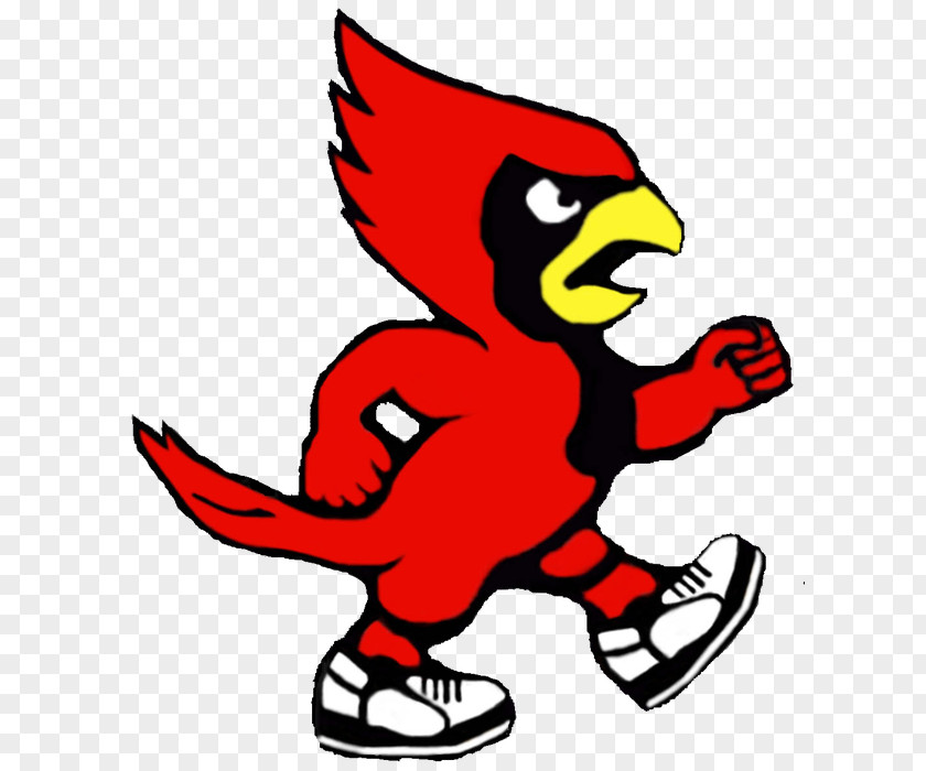 Baseball Louisville Cardinals Football St. Louis Men's Basketball Cardinal Bird Mascot PNG