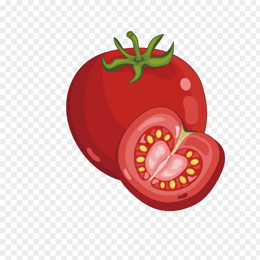 Cartoon Tomato Vegetable PNG