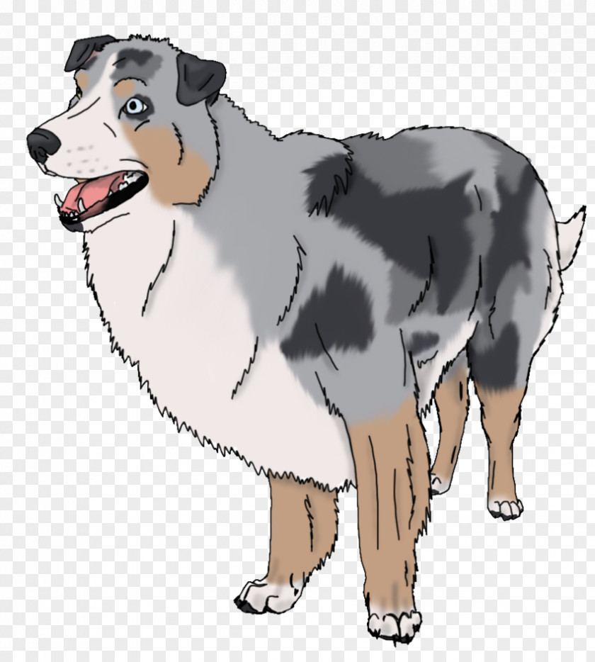 Puppy Dog Breed Australian Shepherd Snout Clip Art PNG