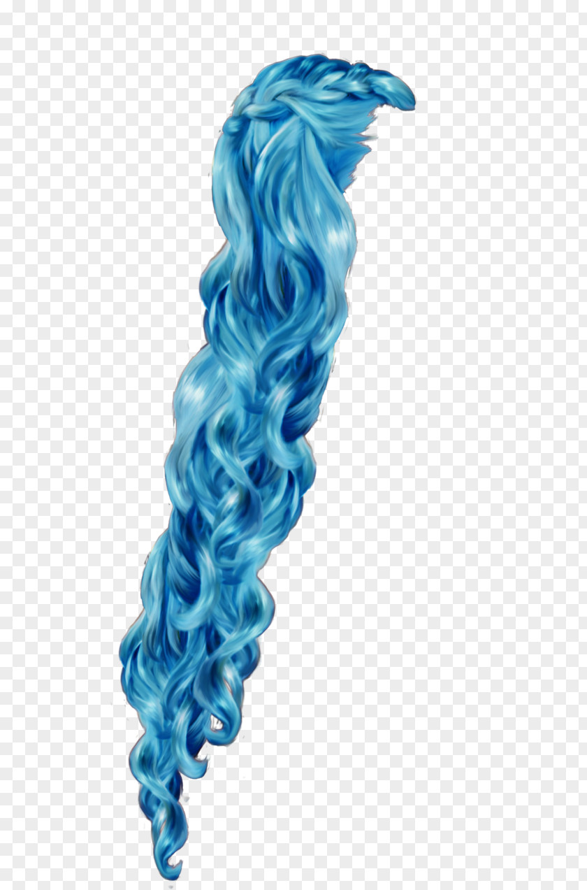 Hair Rapunzel Braid Wig PNG
