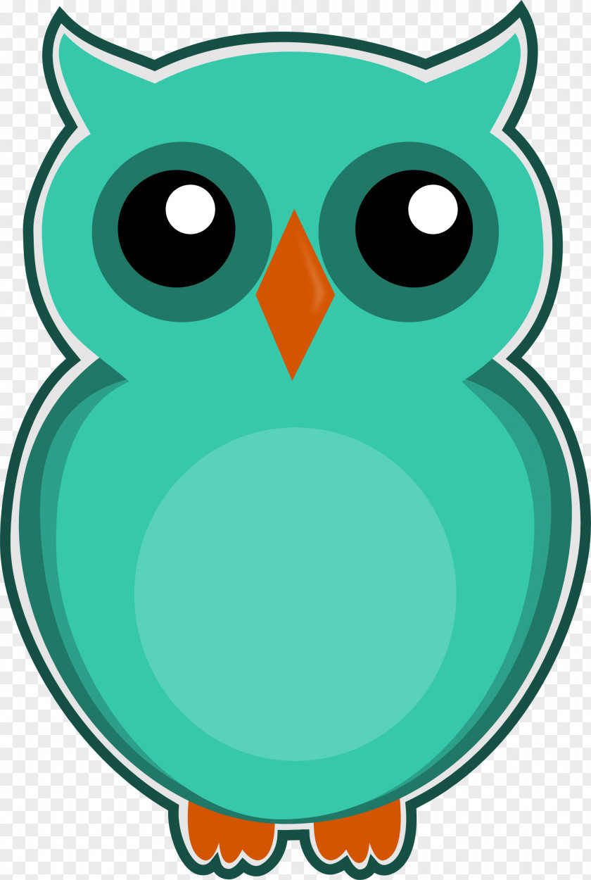 Kiwi Bird Owl Desktop Wallpaper Clip Art PNG