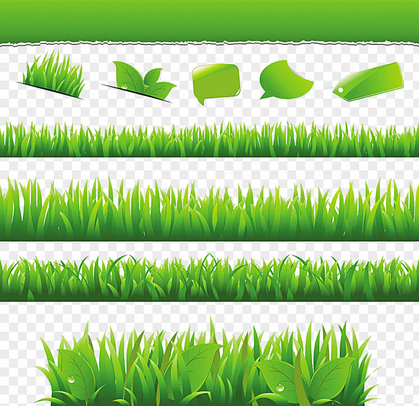 Leaf Environmentally Friendly Royalty-free Stock Photography PNG