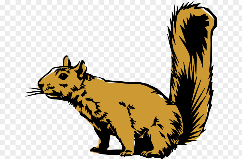 Squirrel Royalty-free Clip Art PNG