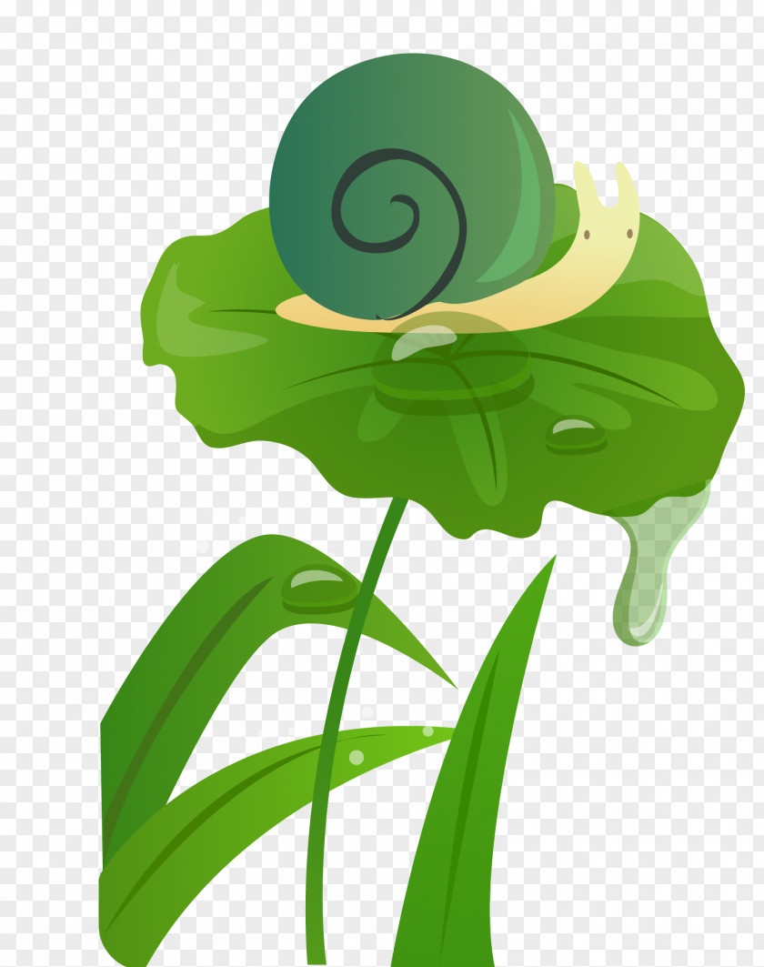 Vector Creative Green Leaf Snail Rain Illustration PNG