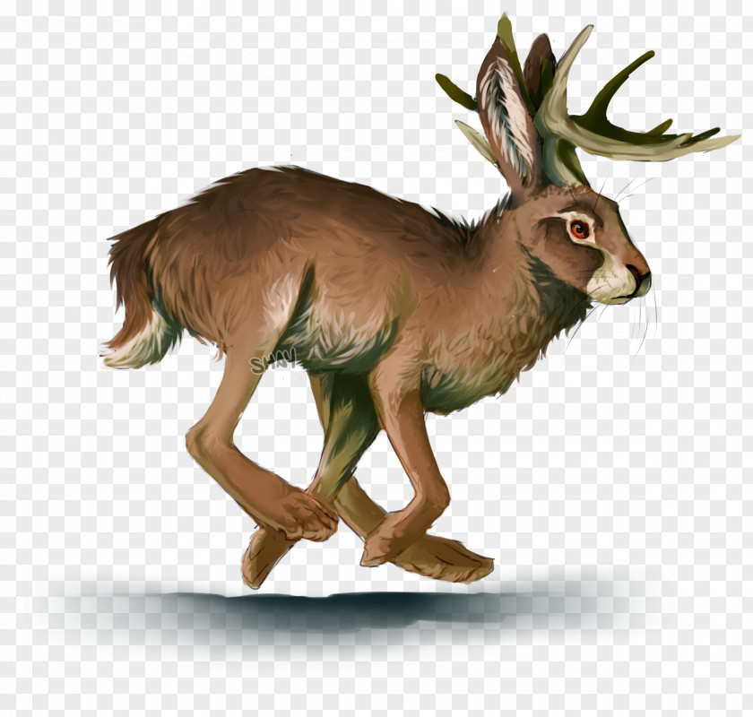 Watercolor Bunny Hare Musk Deer Antelope Jackalope PNG