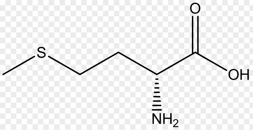 Essential Amino Acid Methionine Phenylalanine PNG