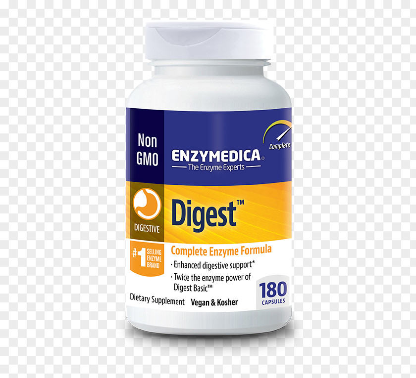 Health Dietary Supplement Digestion Digestive Enzyme Probiotic PNG