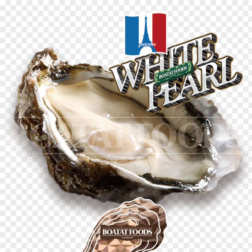 Jewellery Oyster Clam PNG