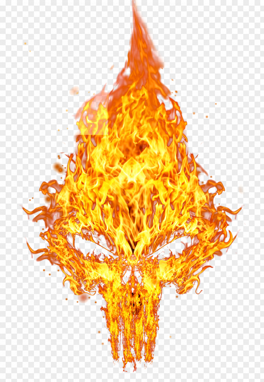 Punisher Desktop Wallpaper Human Skull Symbolism PNG
