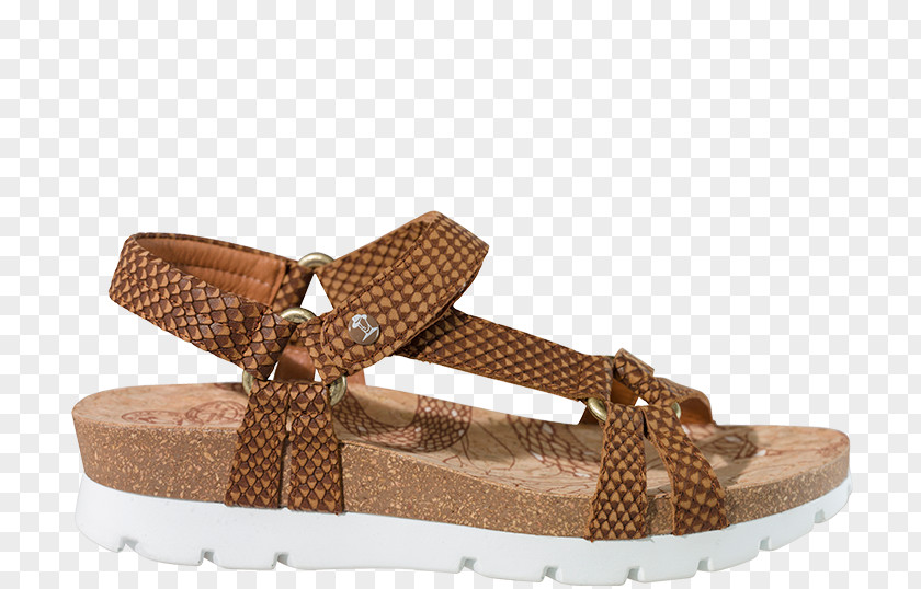 Sandal High-heeled Shoe Wedge Slide PNG