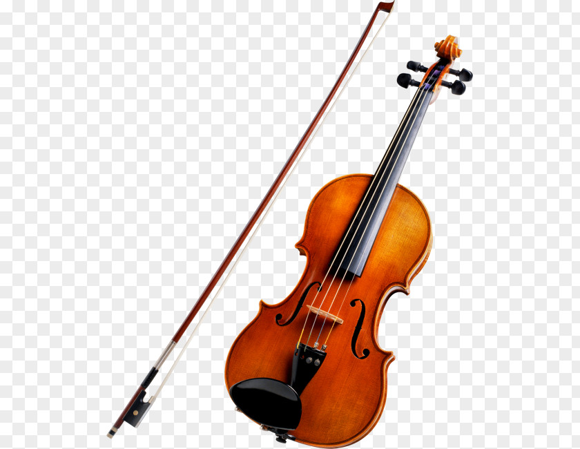 Violin String Instruments Musical Cello Viola PNG