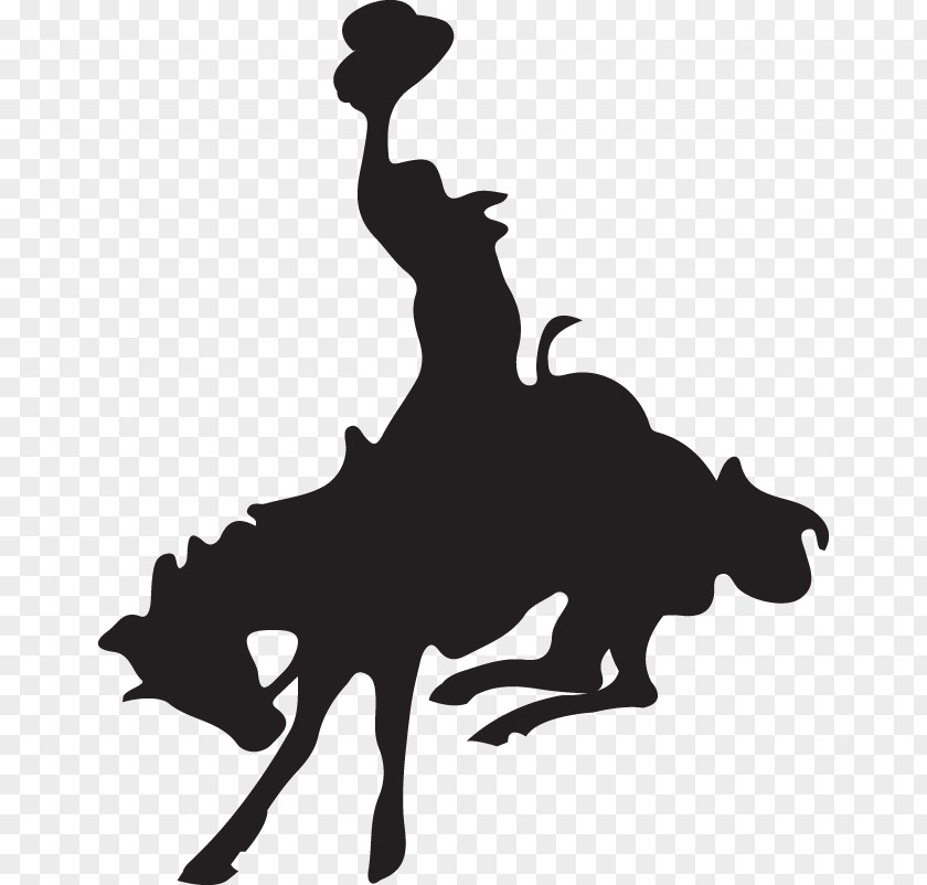 Bucking Horse Cody Night Rodeo Silhouette Black Clip Art PNG